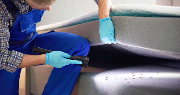 Best Cockroach Control Services  in Channahon, IL