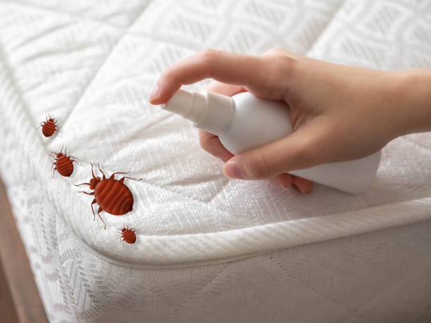 Best Emergency Pest Control  in Channahon, IL